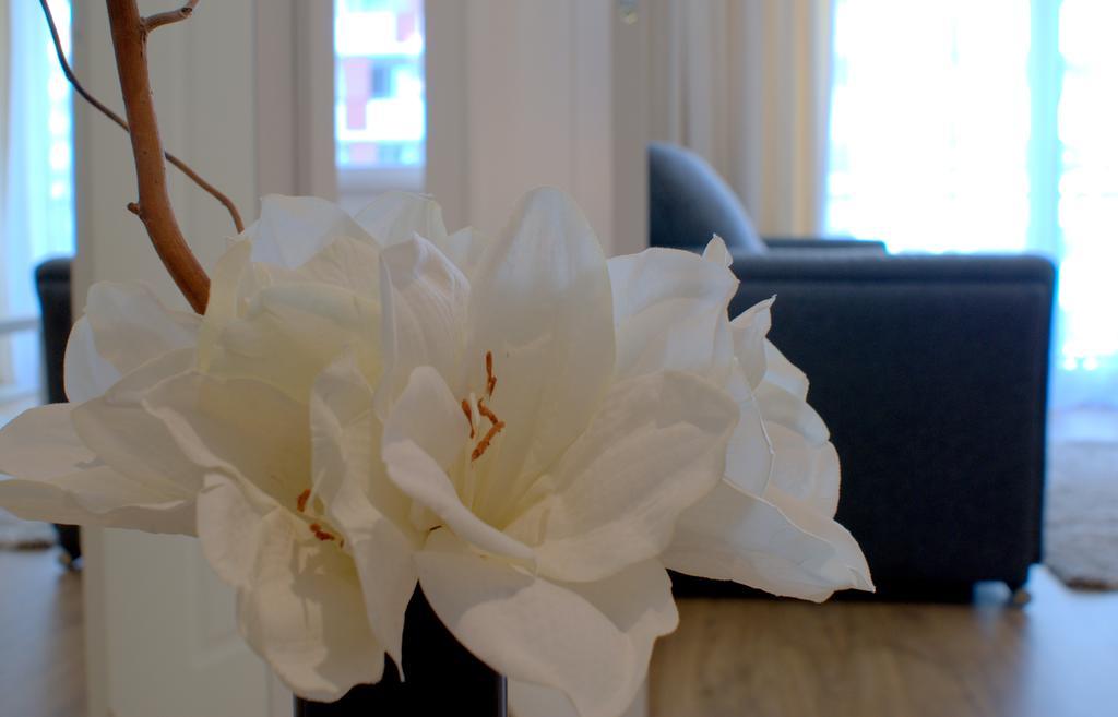Irs Royal Apartments Apartamenty Irs Trzy Zagle กดัญสก์ ภายนอก รูปภาพ